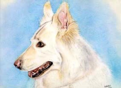 Cane in pastels